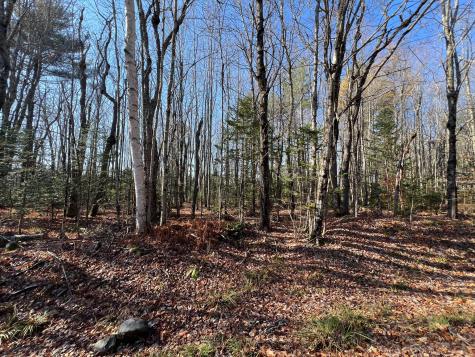 Map 11 Lot 14 Goodwin Road Garland ME 04939