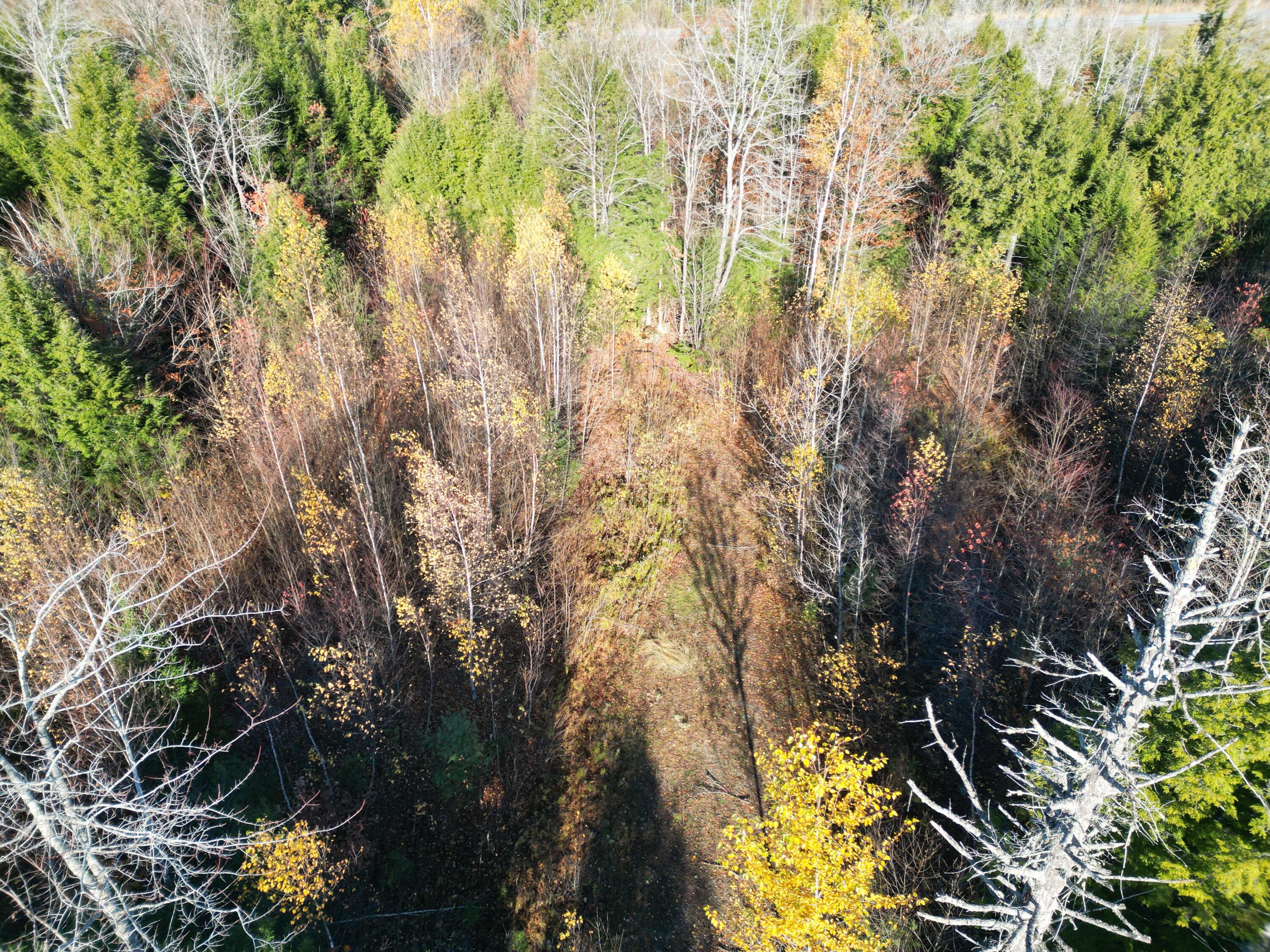 Lot 18-1 Mattamiscontis Road Howland ME 04448