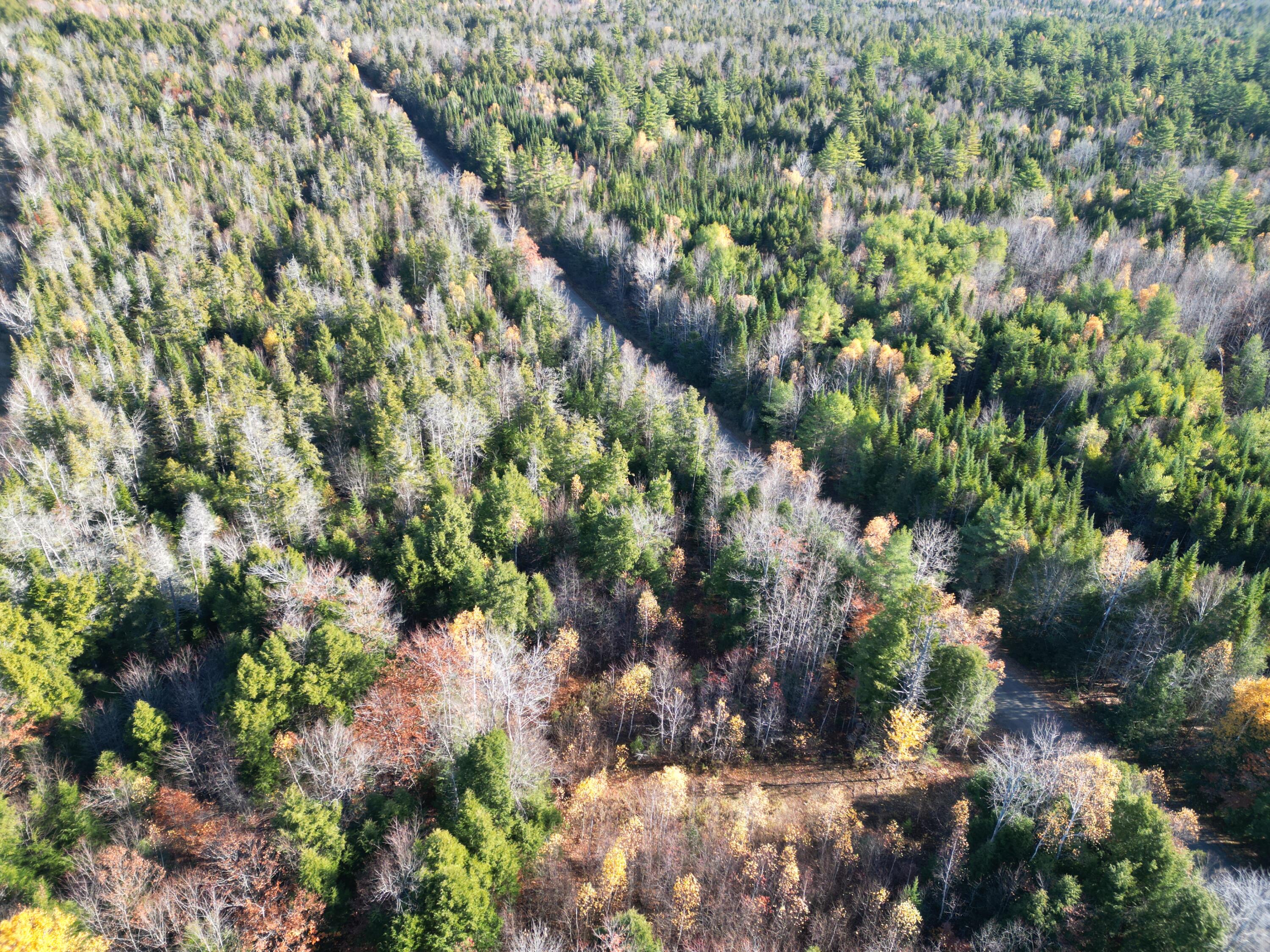 Lot 18-1 Mattamiscontis Road Howland ME 04448