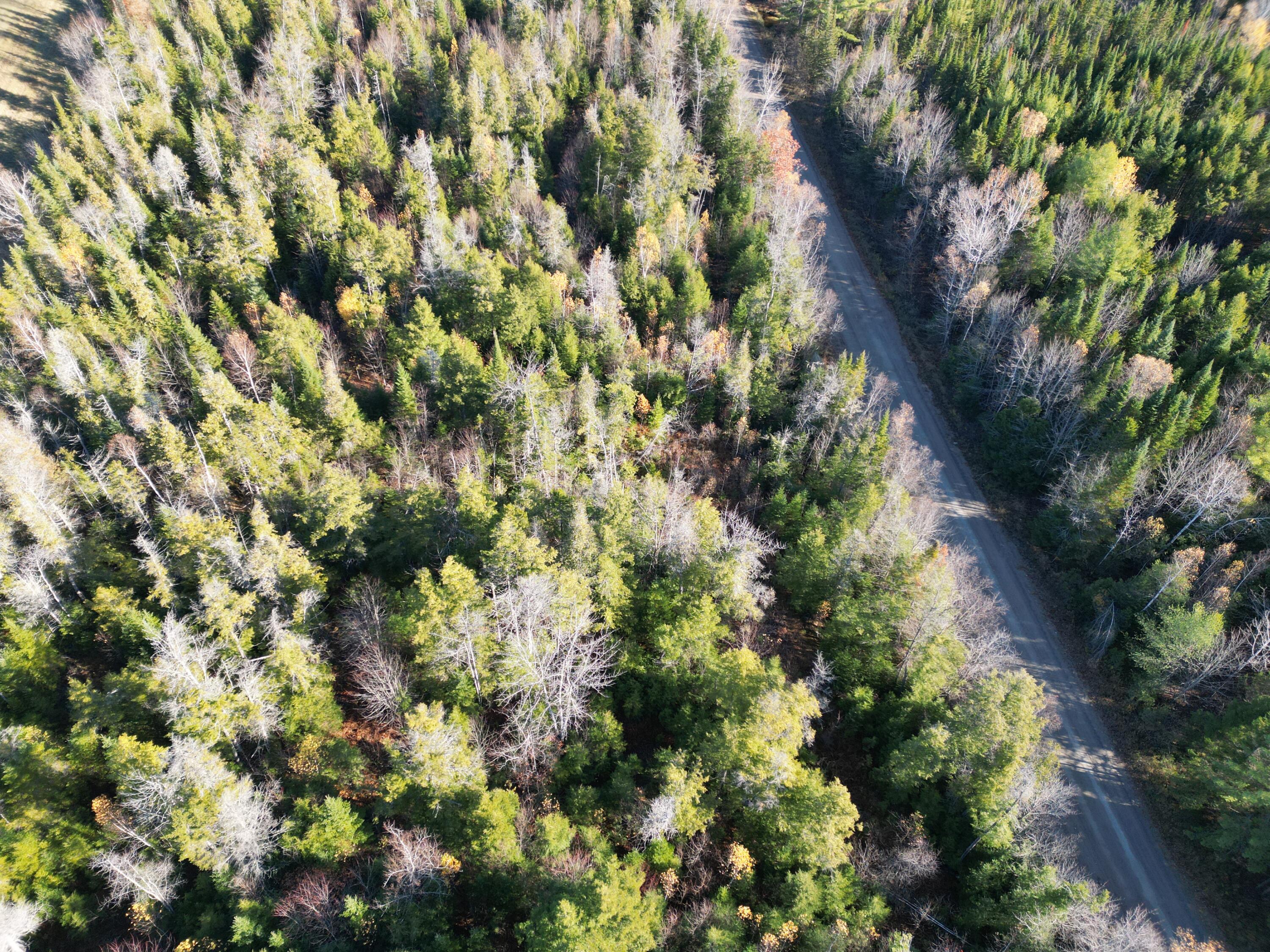Lot 18-1 Mattamiscontis Road Howland ME 04448