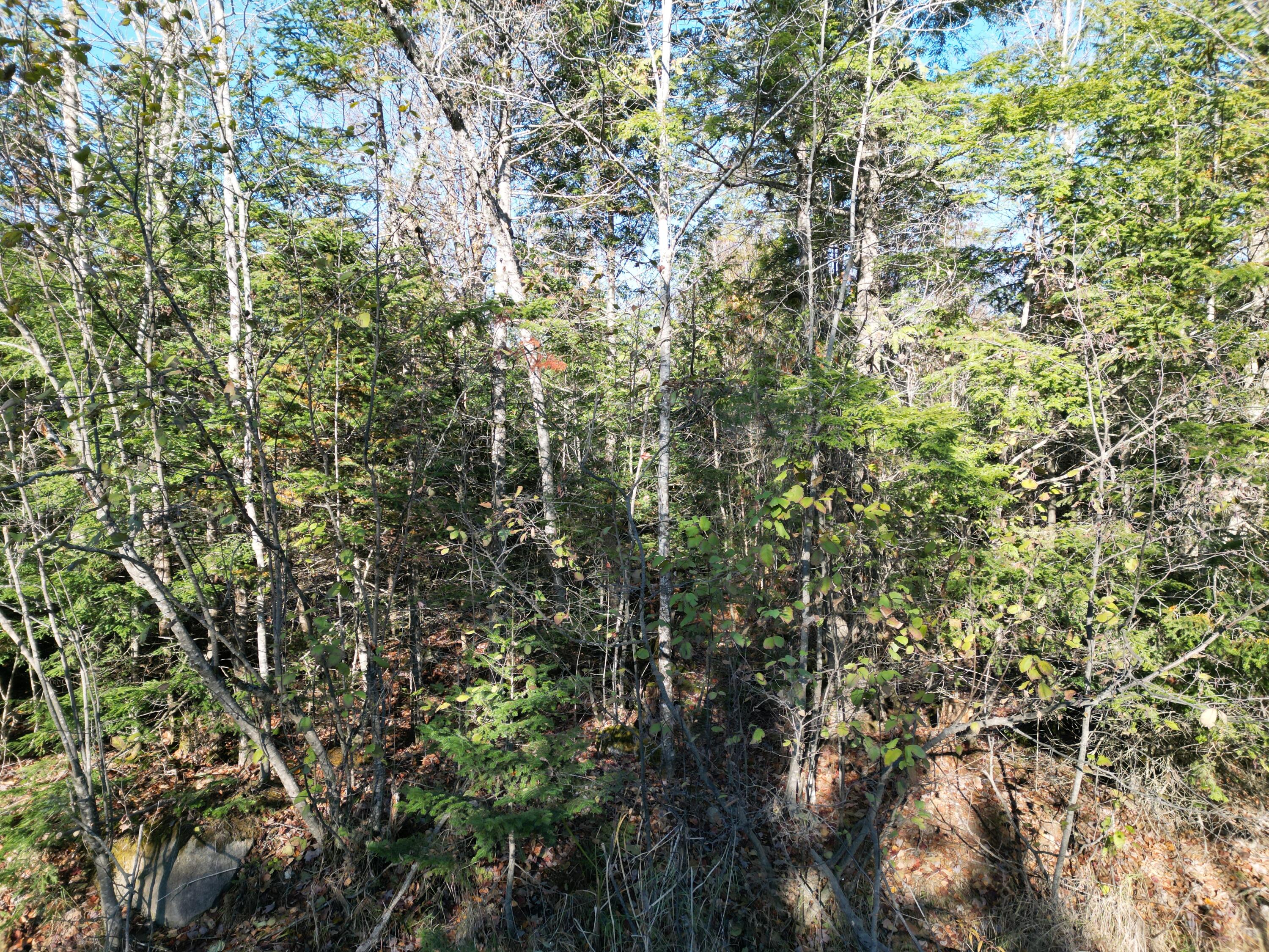 Lot 18-1 Mattamiscontis Road Howland ME 04448