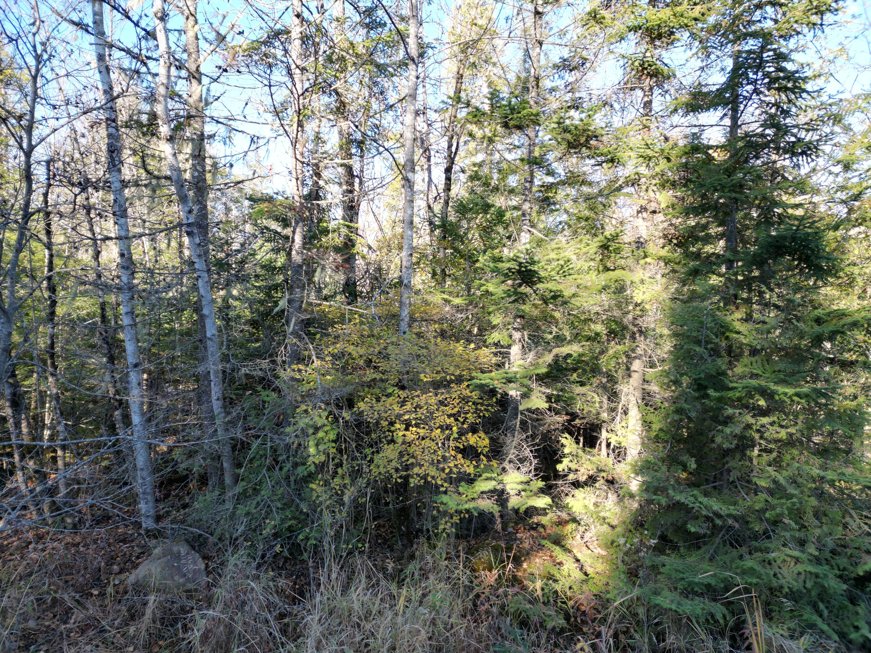 Lot 18-1 Mattamiscontis Road Howland ME 04448