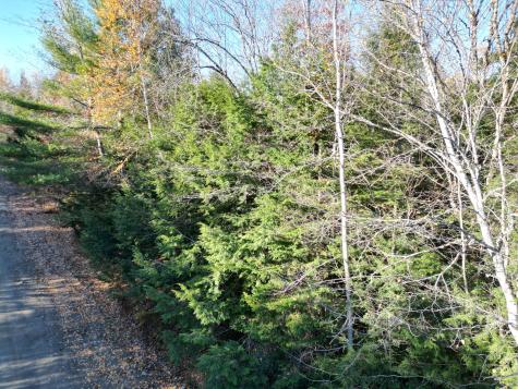 Lot 18-1 Mattamiscontis Road Howland ME 04448