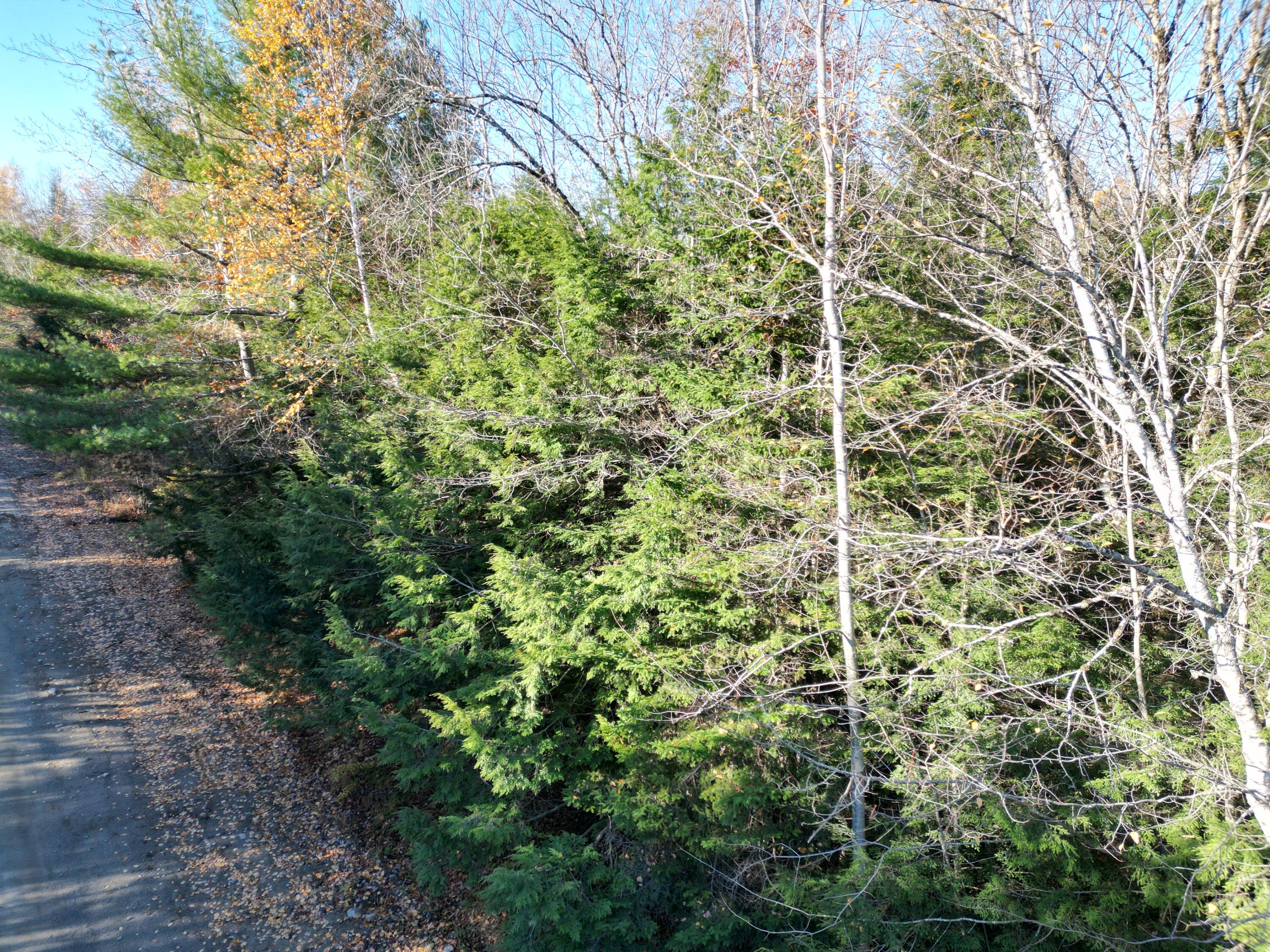 Lot 18-1 Mattamiscontis Road Howland ME 04448