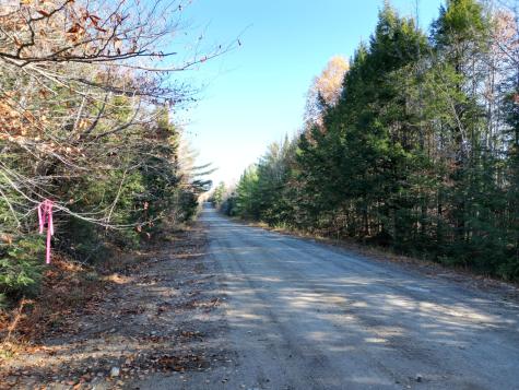 Lot 18-1 Mattamiscontis Road Howland ME 04448