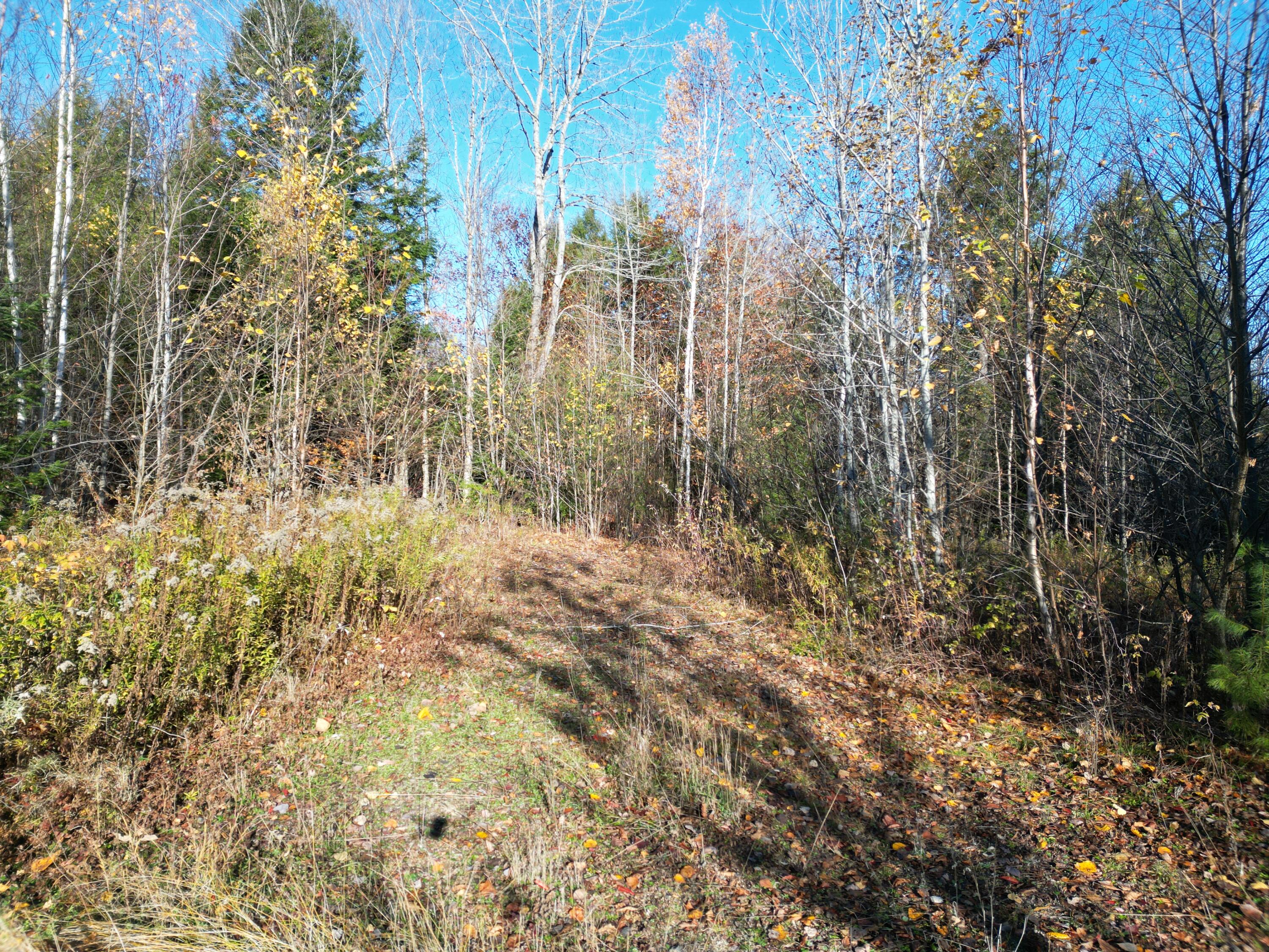 Lot 18-1 Mattamiscontis Road Howland ME 04448