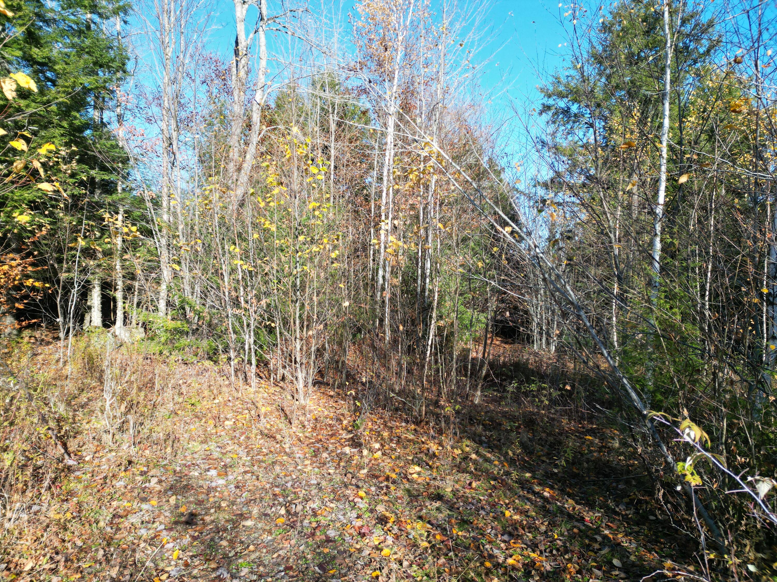 Lot 18-1 Mattamiscontis Road Howland ME 04448