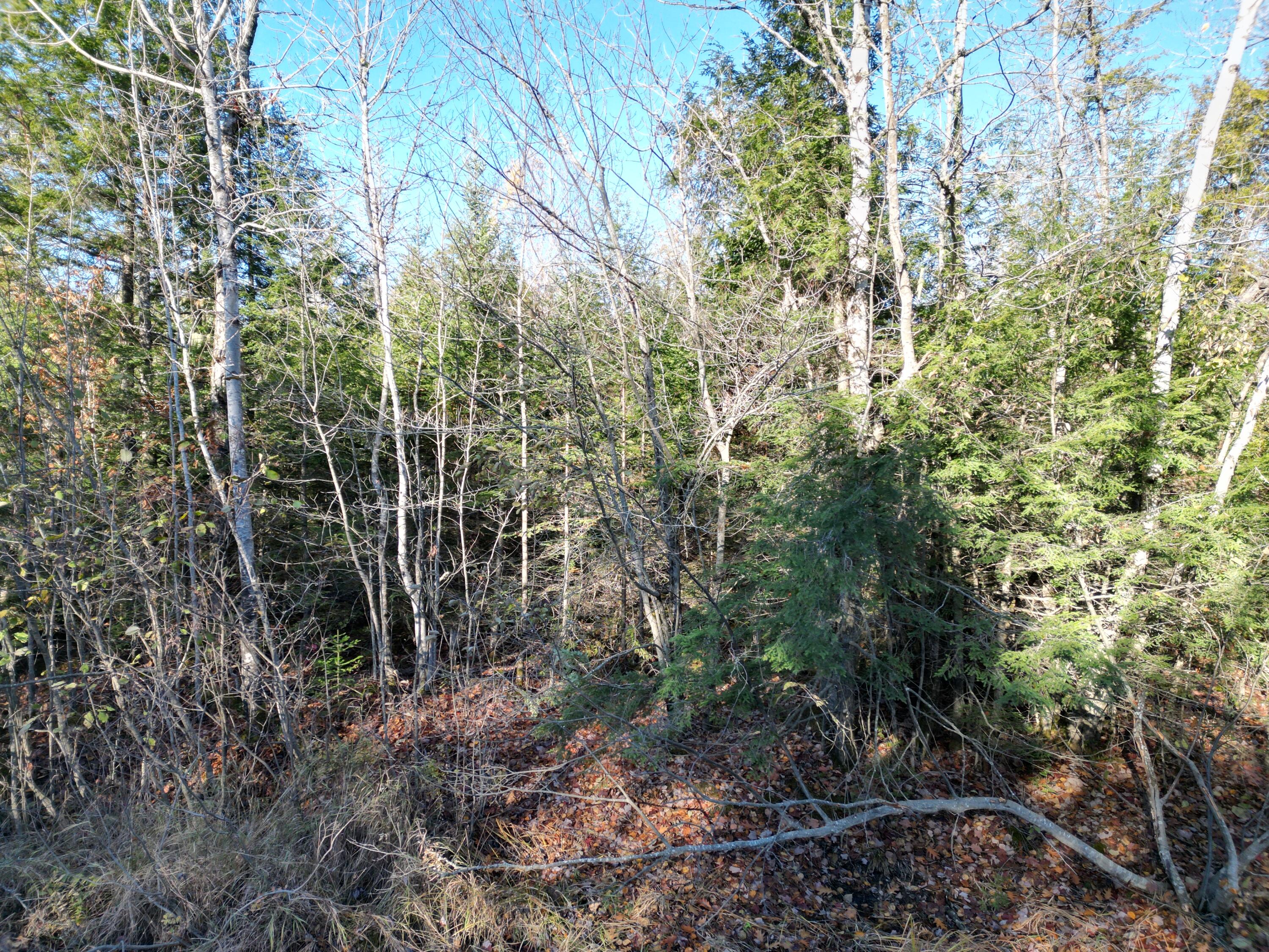 Lot 18-1 Mattamiscontis Road Howland ME 04448