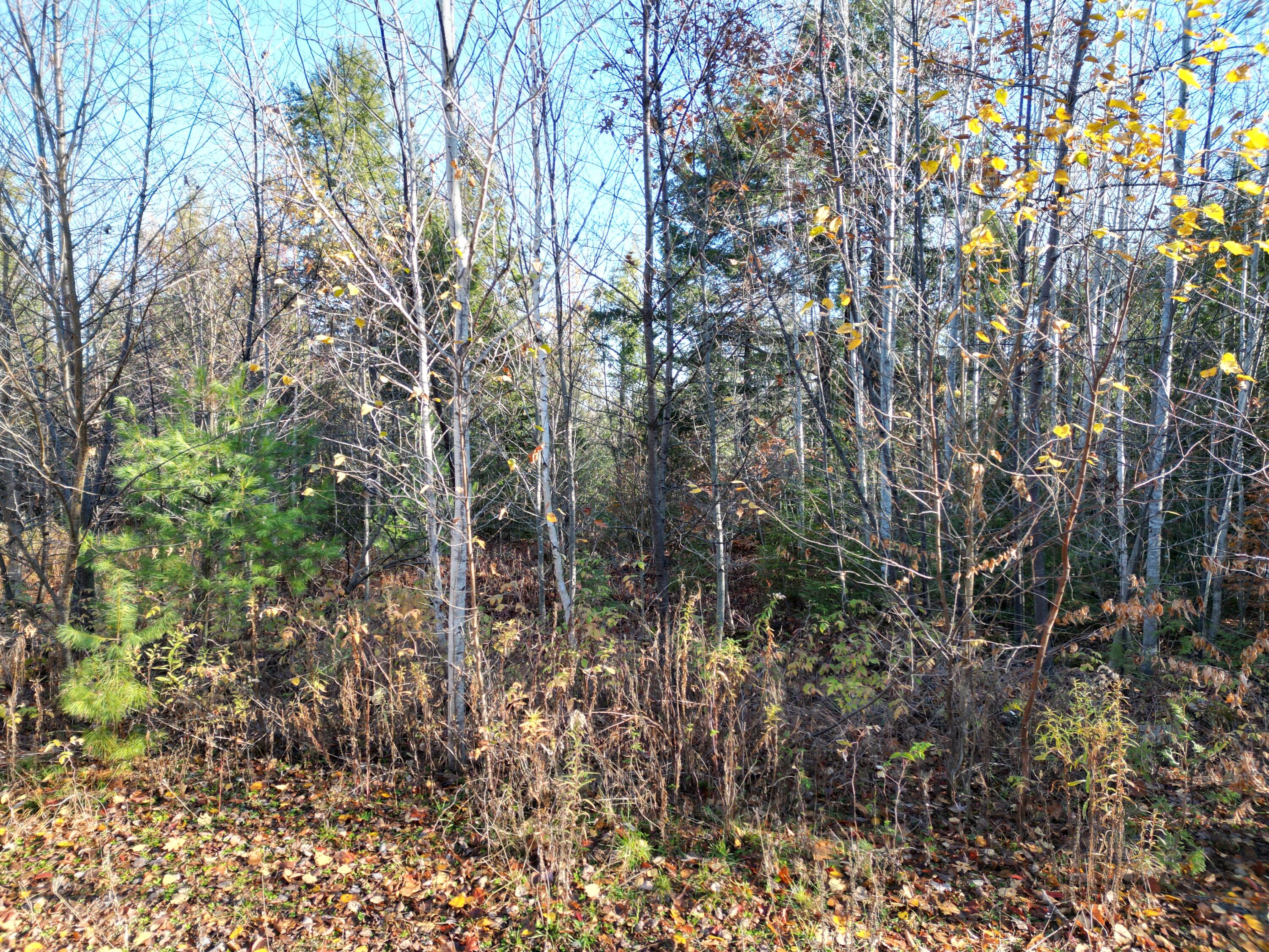 Lot 18-1 Mattamiscontis Road Howland ME 04448