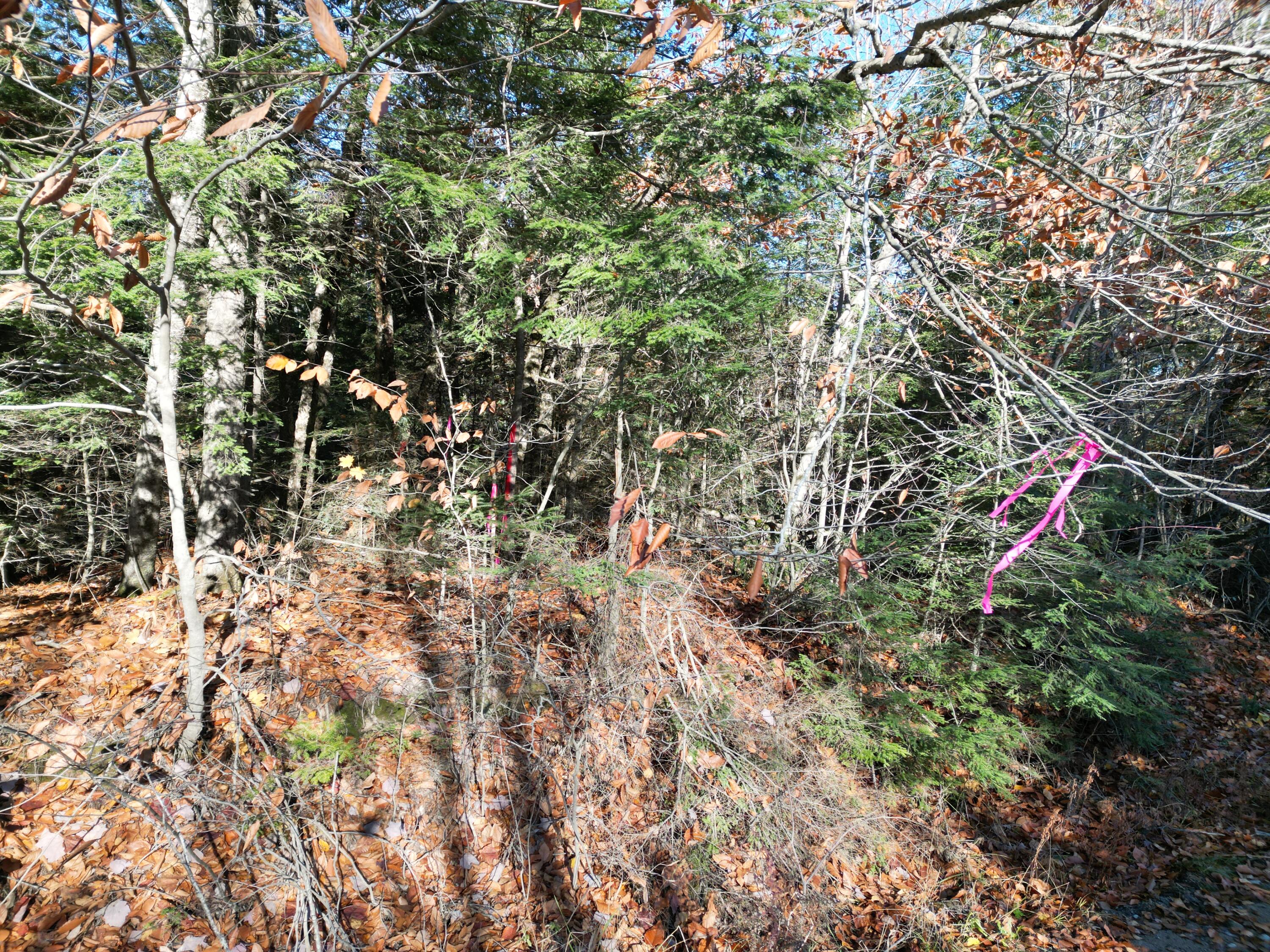 Lot 18-1 Mattamiscontis Road Howland ME 04448