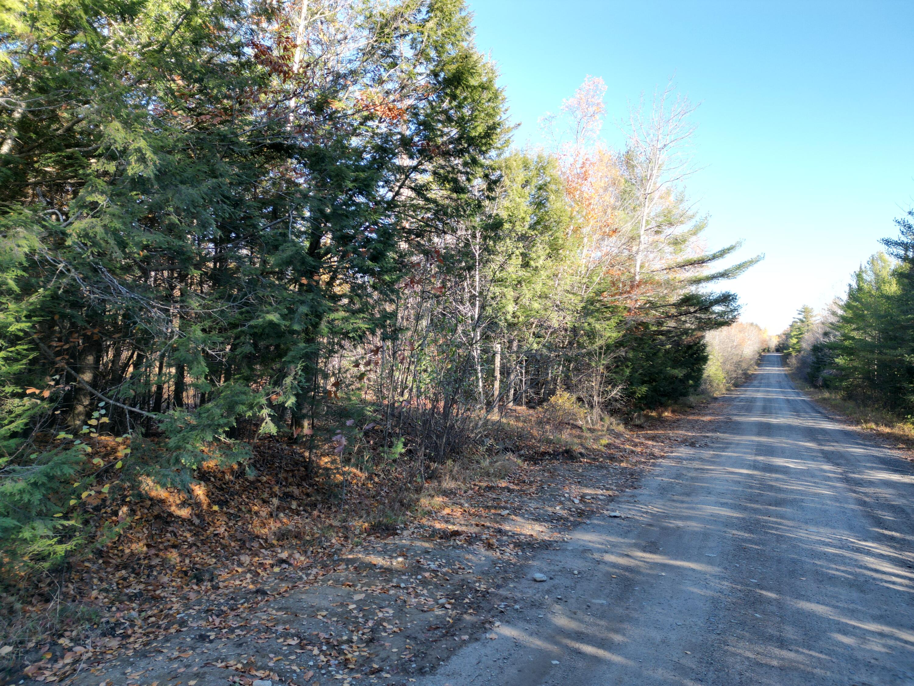 Lot 18-1 Mattamiscontis Road Howland ME 04448