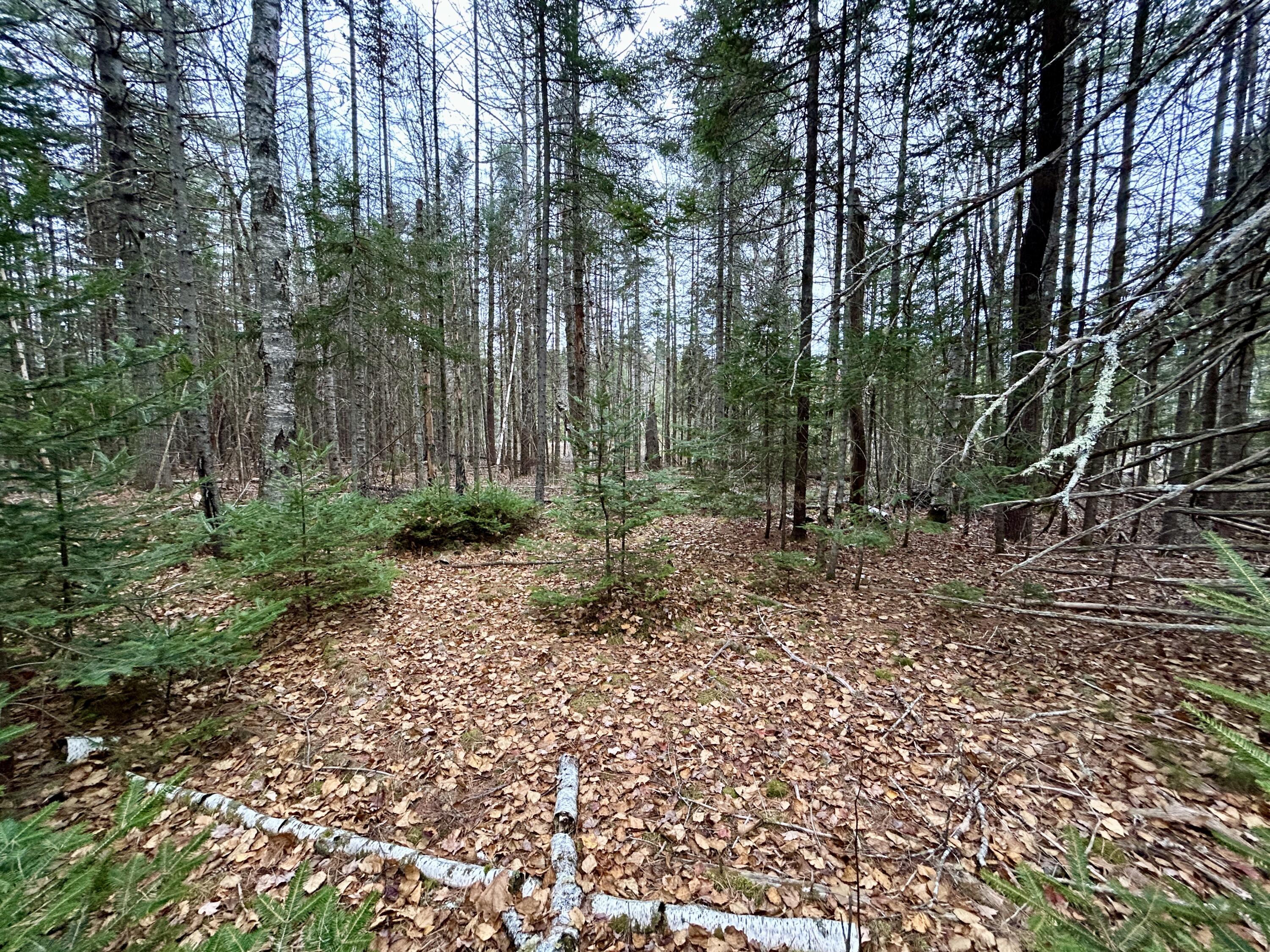 Lot 2 Nancy's Lane Otis ME 04605