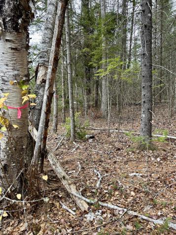 Lot 2 Nancy's Lane Otis ME 04605