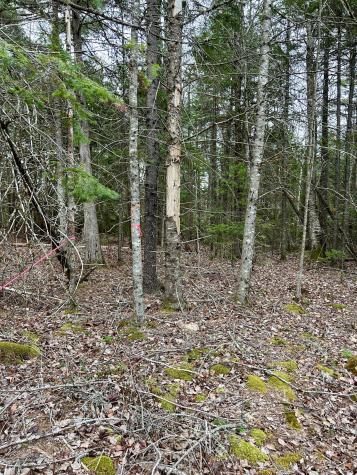 Lot 2 Nancy's Lane Otis ME 04605