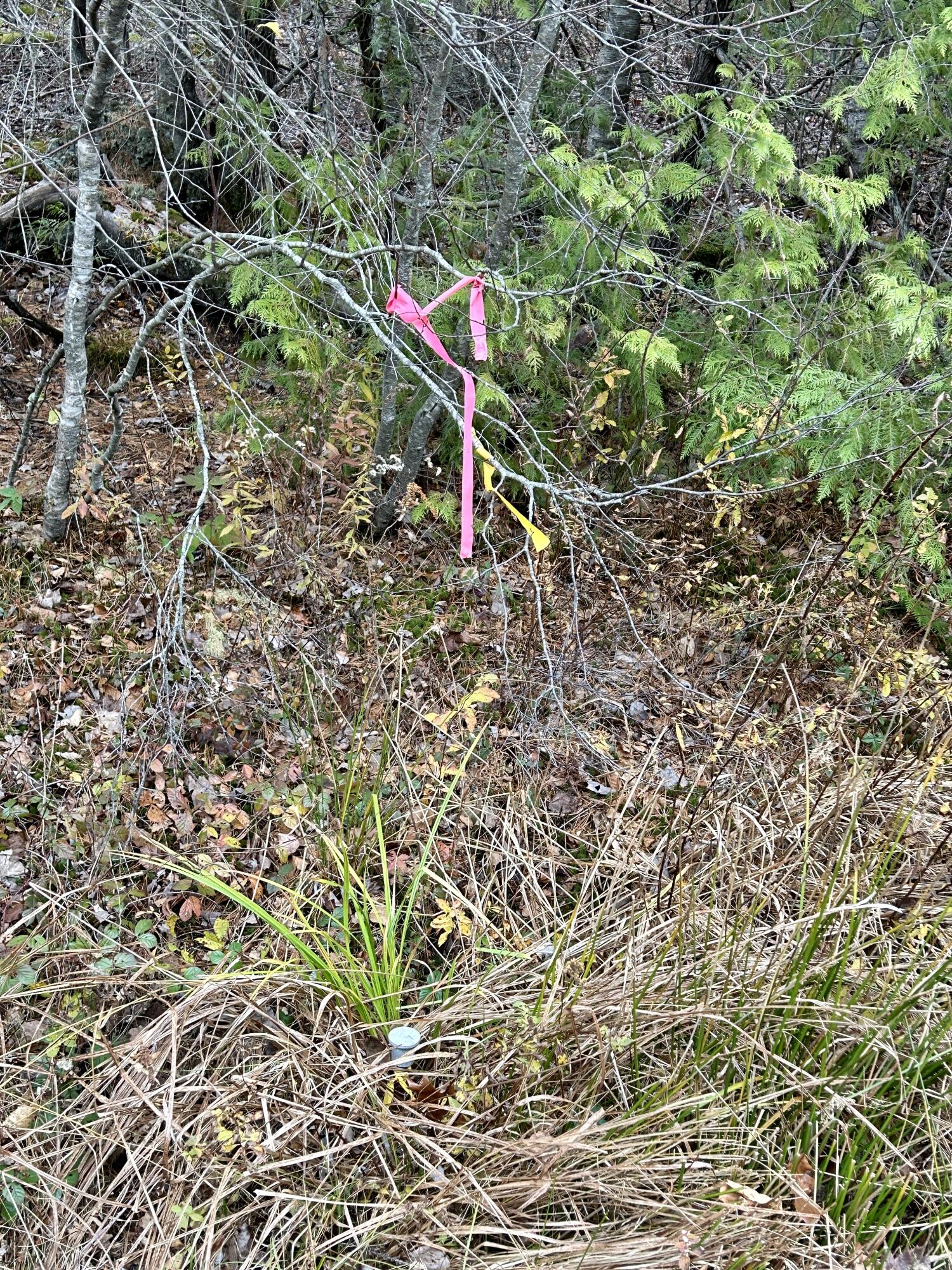 Lot 2 Nancy's Lane Otis ME 04605