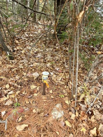 Lot 2 Nancy's Lane Otis ME 04605