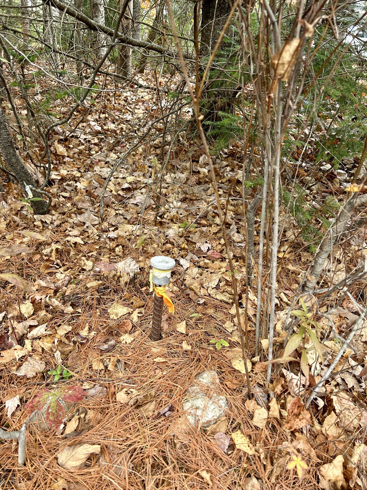 Lot 2 Nancy's Lane Otis ME 04605