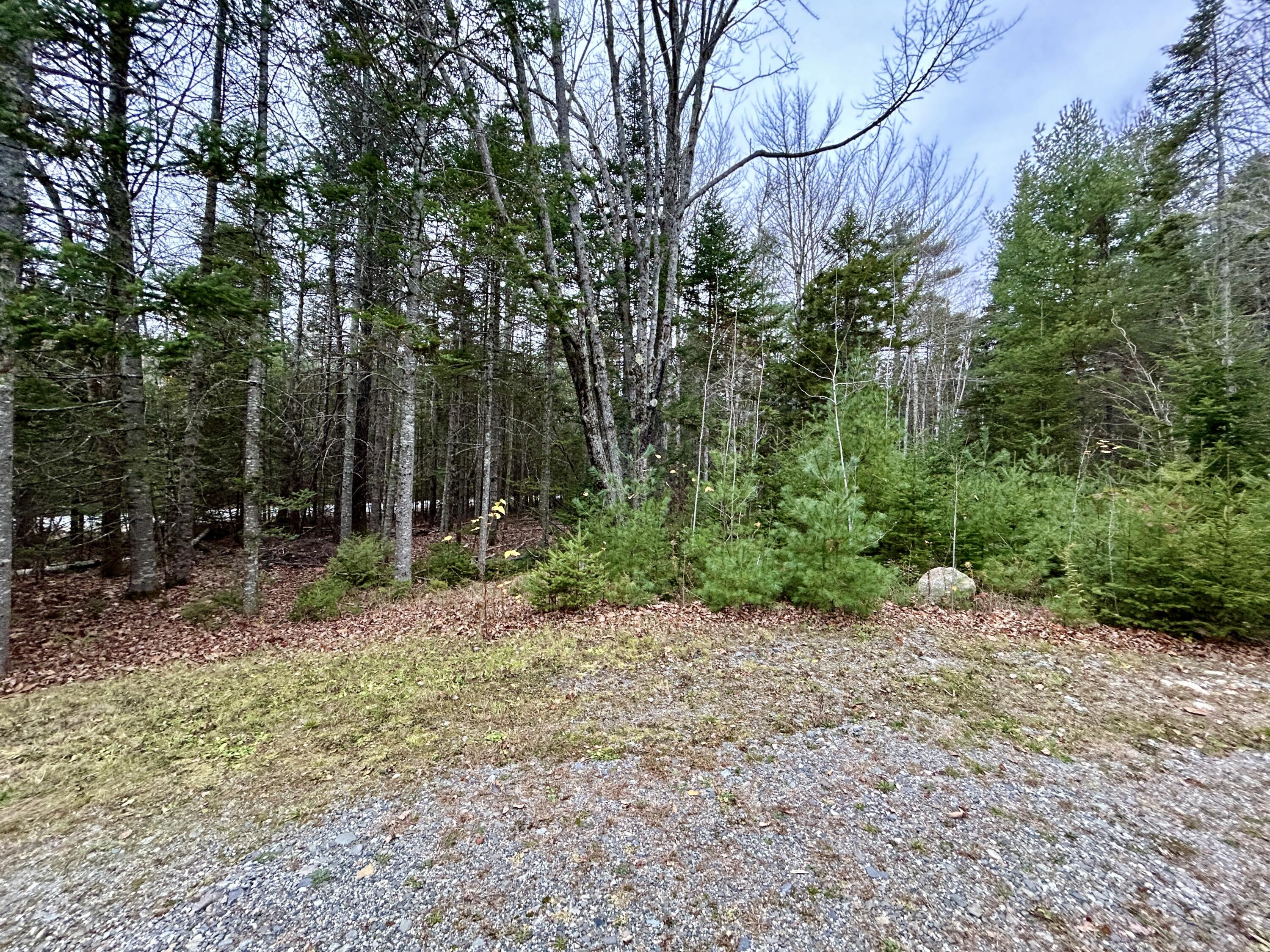 Lot 2 Nancy's Lane Otis ME 04605