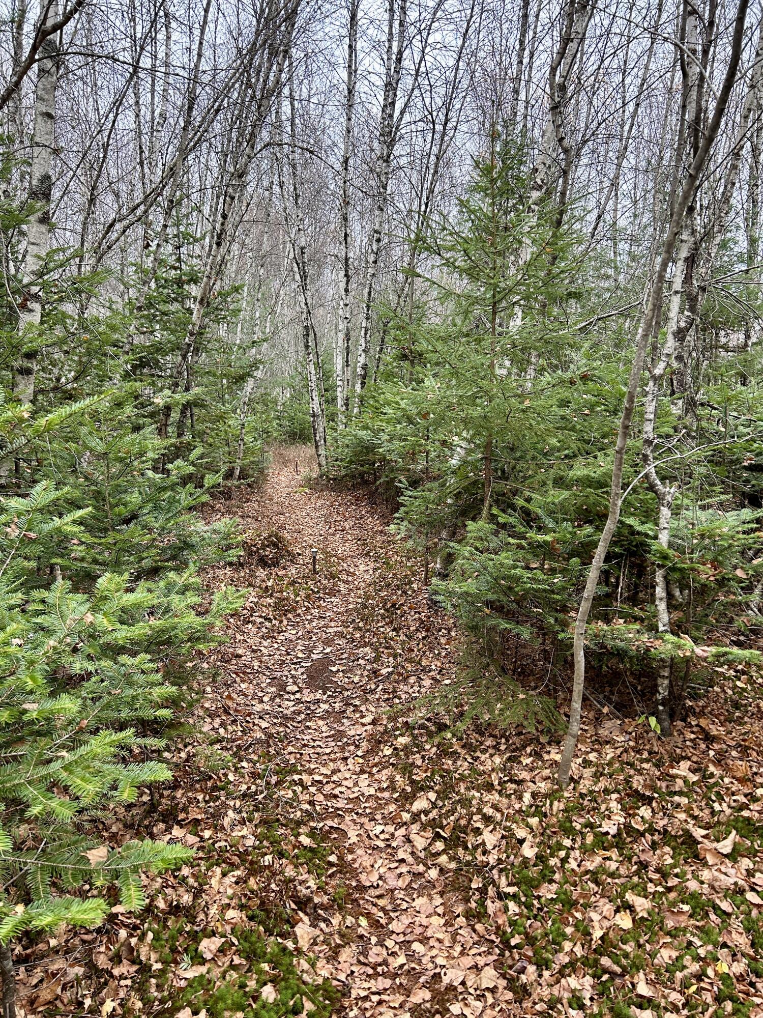 Lot 2 Nancy's Lane Otis ME 04605