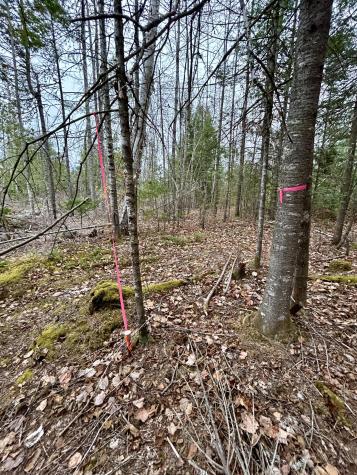 Lot 2 Nancy's Lane Otis ME 04605