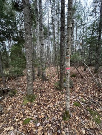 Lot 2 Nancy's Lane Otis ME 04605