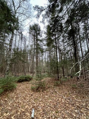 Lot 2 Nancy's Lane Otis ME 04605