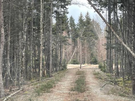 Lot 30 Pineo Road Roque Bluffs ME 04654