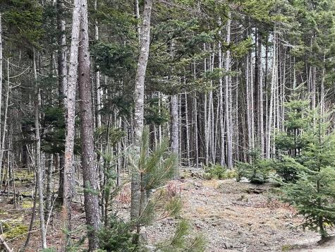 Lot 30 Pineo Road Roque Bluffs ME 04654