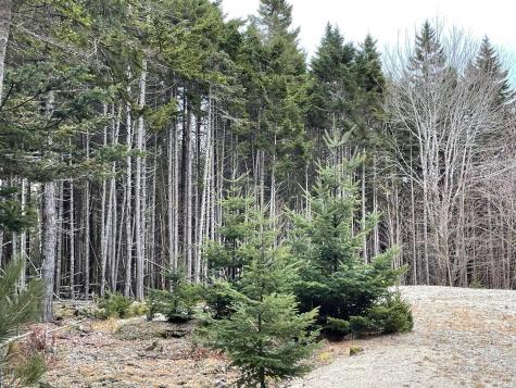 Lot 30 Pineo Road Roque Bluffs ME 04654