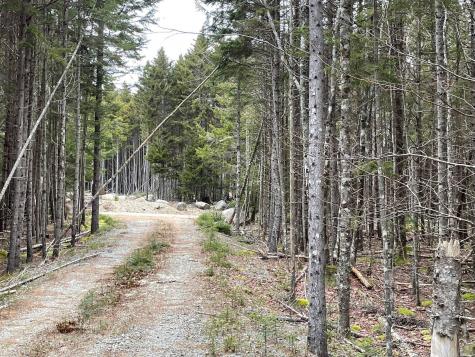 Lot 30 Pineo Road Roque Bluffs ME 04654