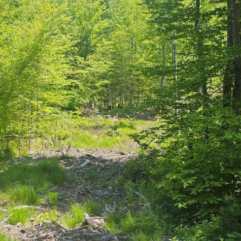 18A Isaac Stevens Road Bridgton ME 04009