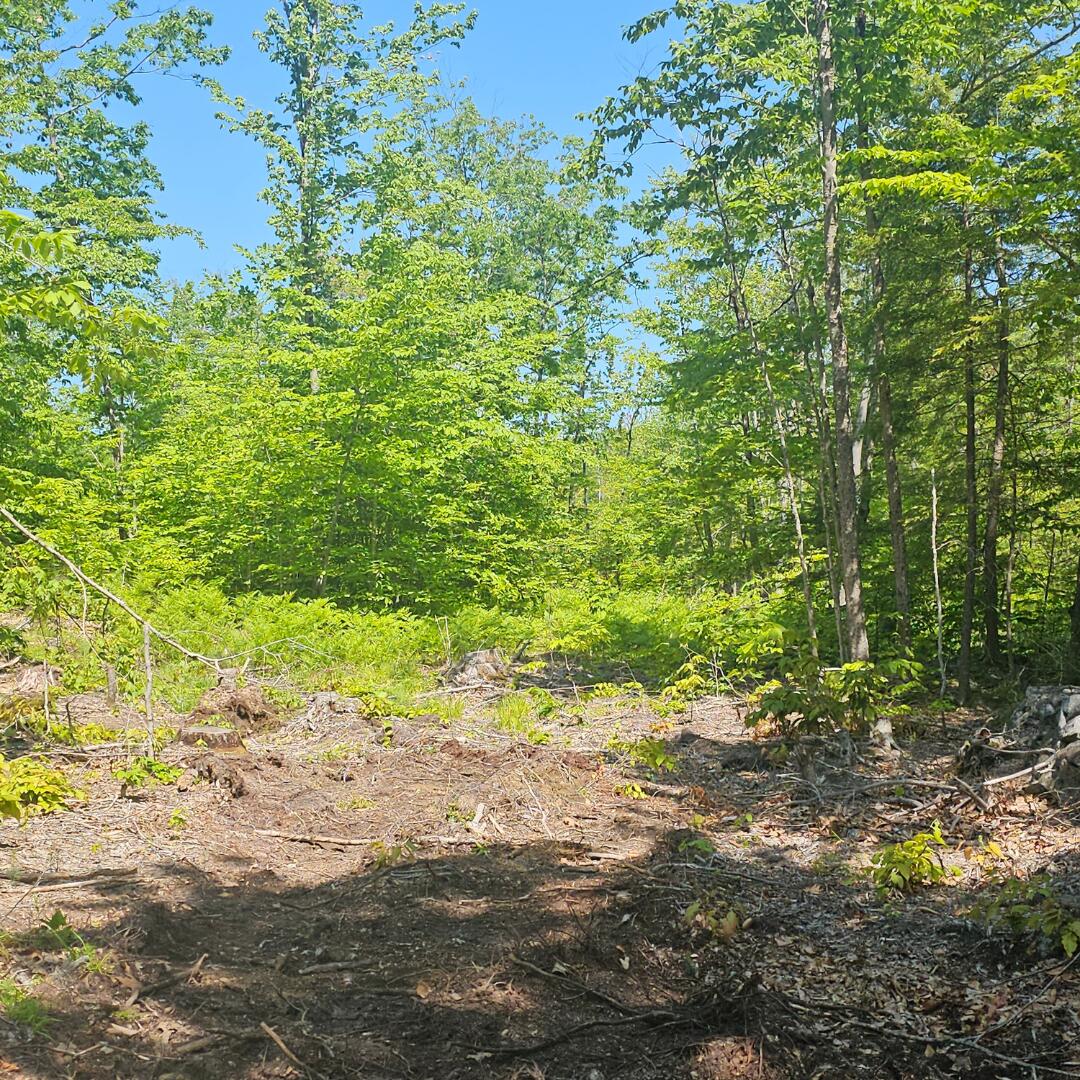 18A Isaac Stevens Road Bridgton ME 04009