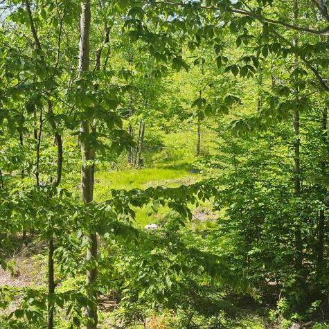 18A Isaac Stevens Road Bridgton ME 04009