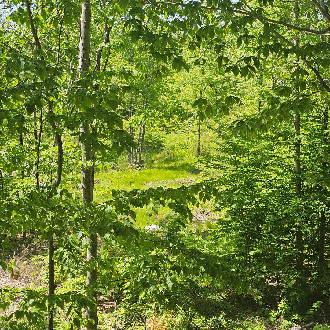18A Isaac Stevens Road Bridgton ME 04009