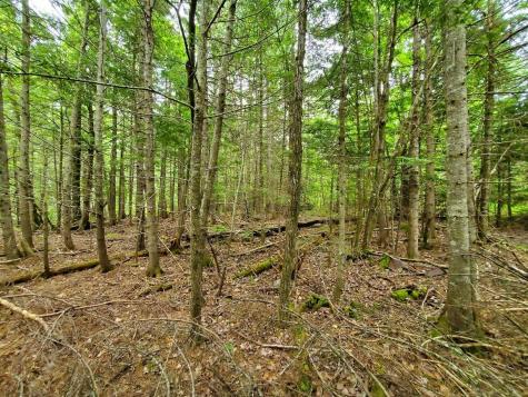 0 Mill Street Princeton ME 04668