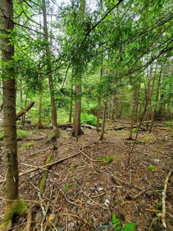 0 Mill Street Princeton ME 04668