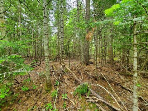 0 Mill Street Princeton ME 04668