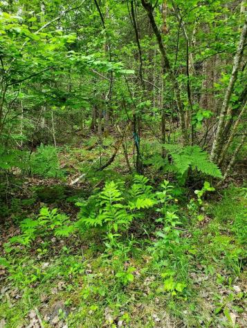 0 Mill Street Princeton ME 04668