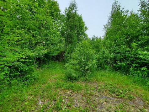 0 Mill Street Princeton ME 04668