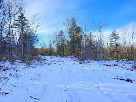 Lot 62.2 Reeds Mill Road Madrid Twp ME 04966