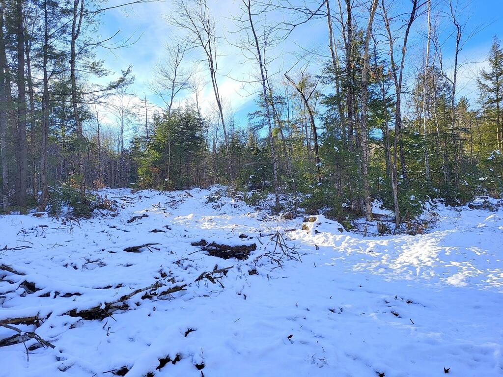 Lot 62.2 Reeds Mill Road Madrid Twp ME 04966