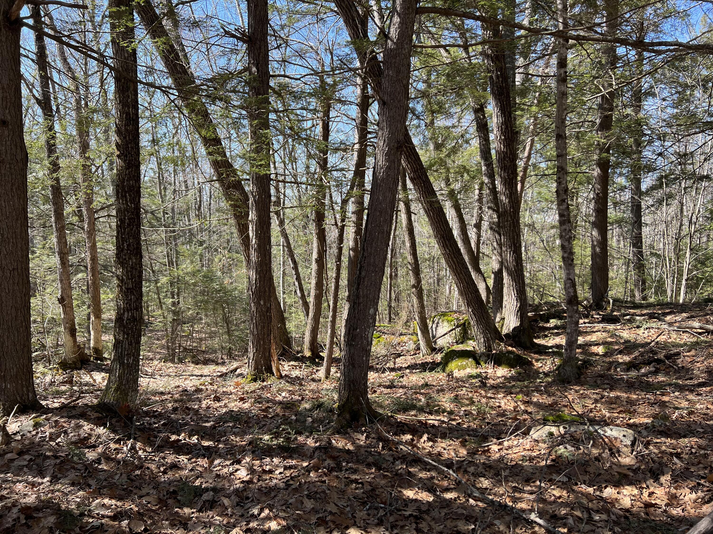 LOT#009-02 Powderhorn Road Jefferson ME 04348