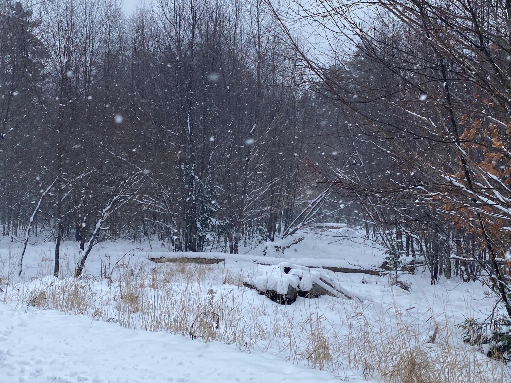 Beaver Cove ME, Lot 225 W Birch Lane