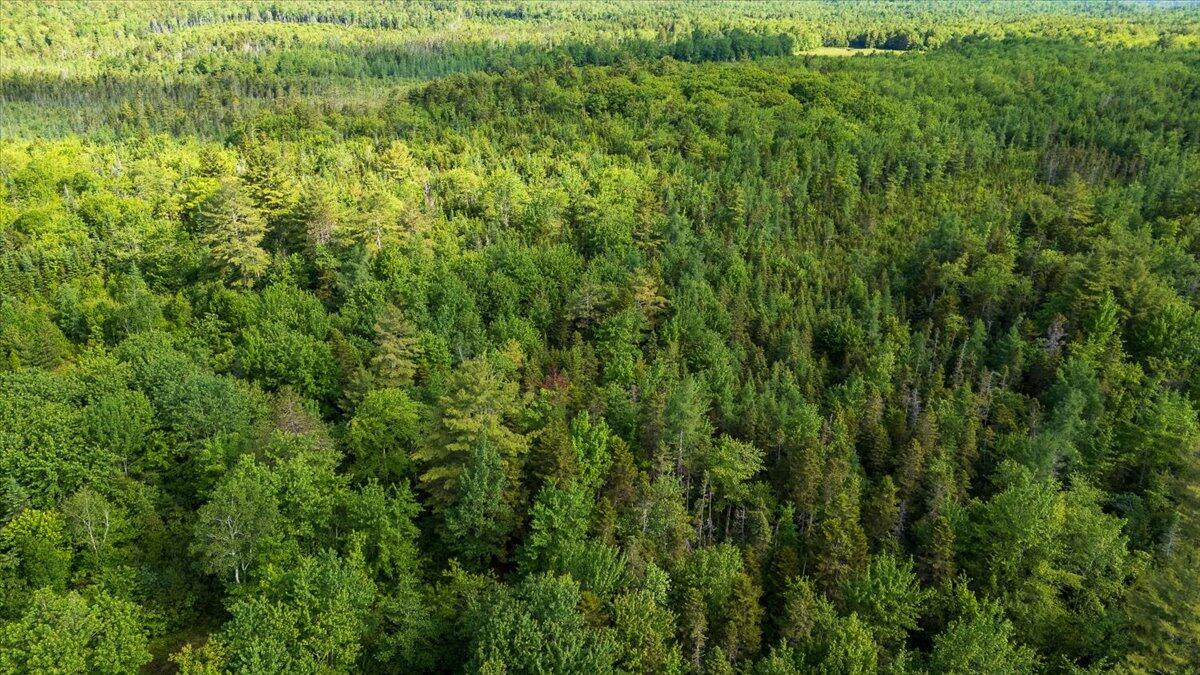 Map 7 Lot 8-1 Cushing Road, Eastside Cushing ME 04563