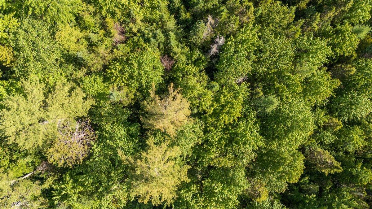 Map 7 Lot 8-1 Cushing Road, Eastside Cushing ME 04563