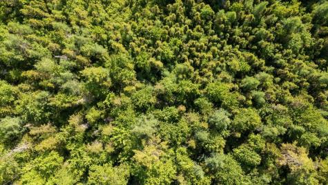 Map 7 Lot 8-1 Cushing Road, Eastside Cushing ME 04563