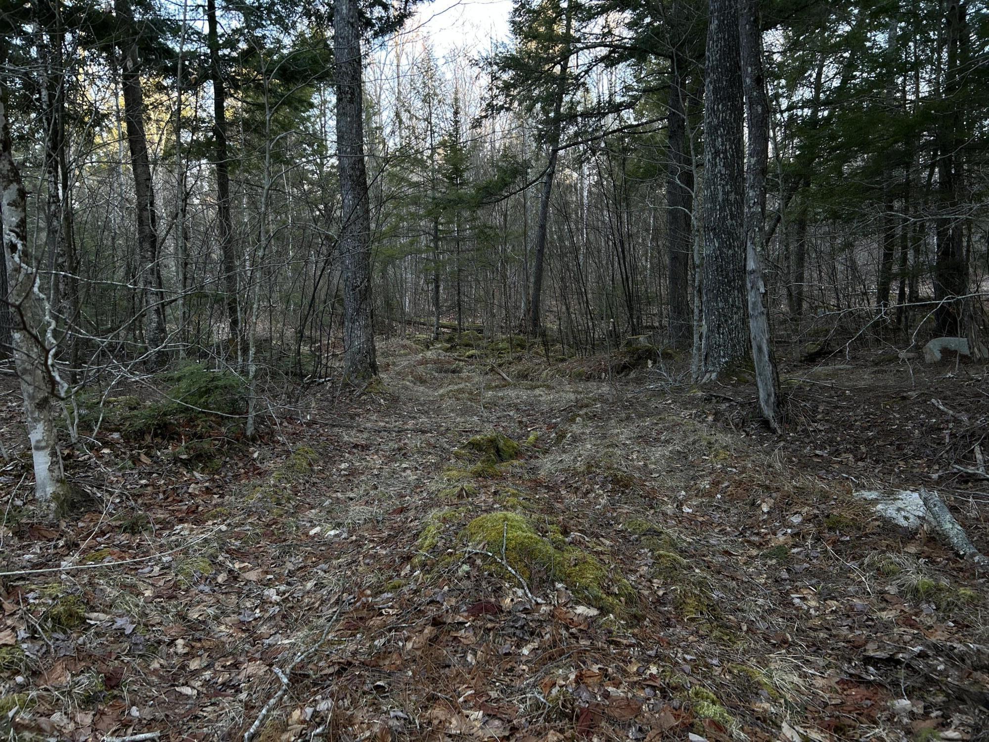 M7L22 Nelson Ridge Road N Washington ME 04574