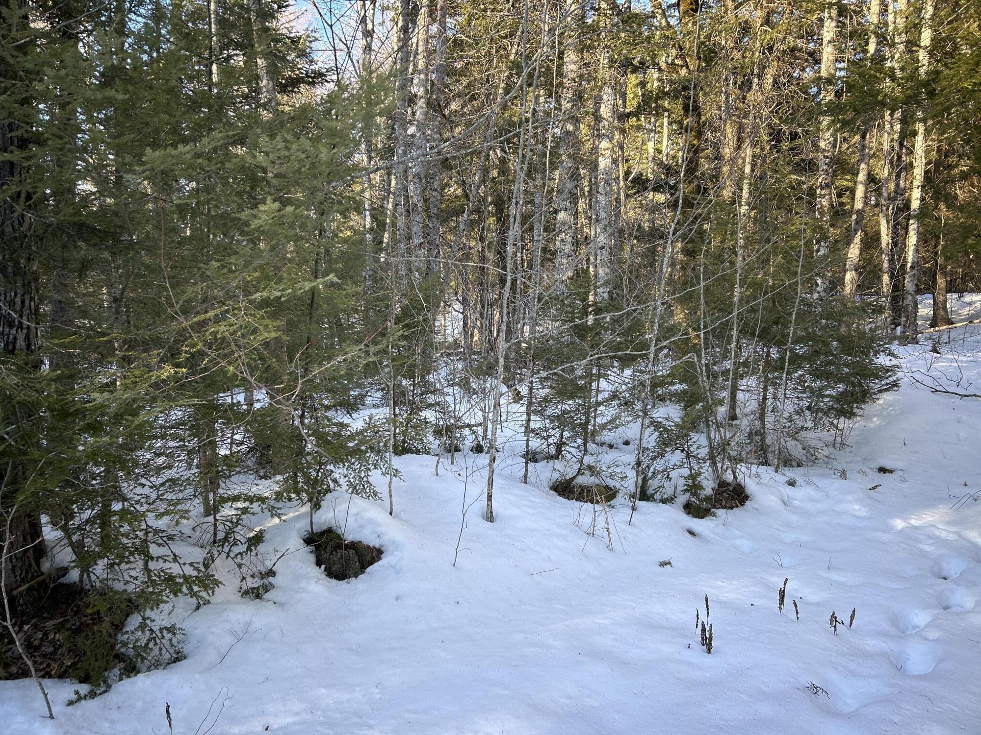 M7L22 Nelson Ridge Road N Washington ME 04574