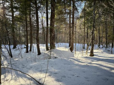 M7L22 Nelson Ridge Road N Washington ME 04574