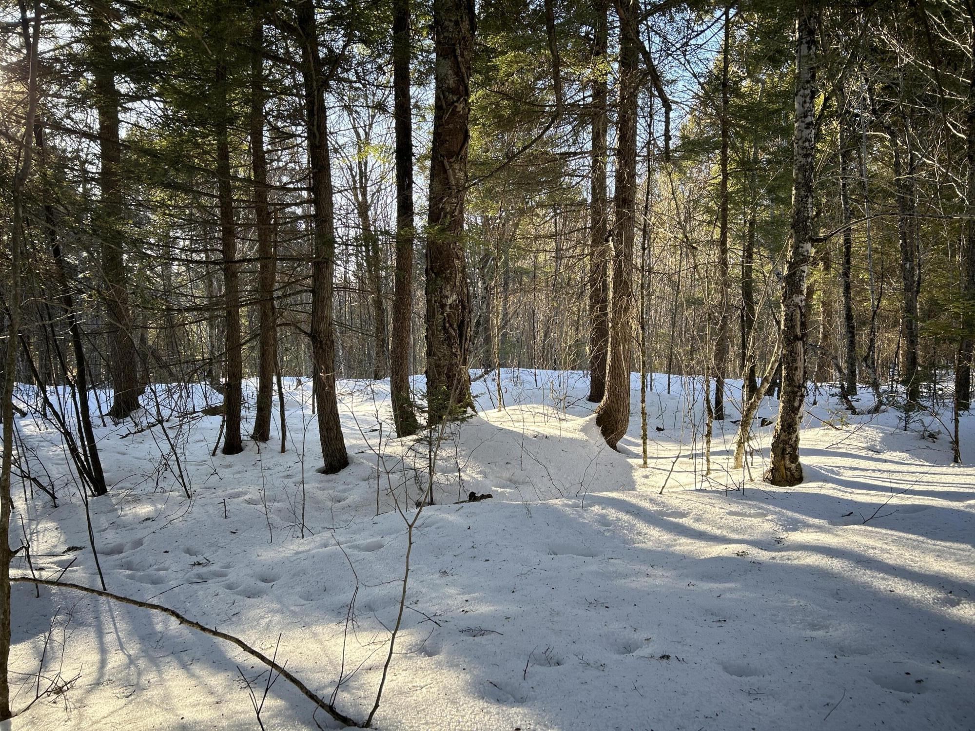 M7L22 Nelson Ridge Road N Washington ME 04574